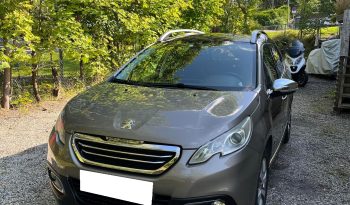 Peugeot complet